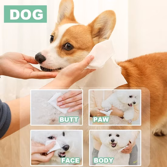 Базовая регулировка: ребенок/взрослый/домашнее животное, антибактериальное/дезинфицирующее/дезинфицирующее средство/спирт/средство для снятия макияжа, смываемое очищающее средство для лица, влажные полотенца/салфетки.